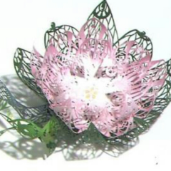 みい一ちゃん谷山自己紹介