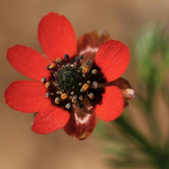 みいーちゃん谷山トーク