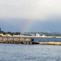東北又は、仙台の人