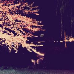 暇だから誰か話そ🎶