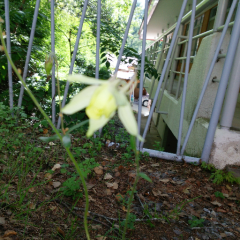 一休みしにきて。