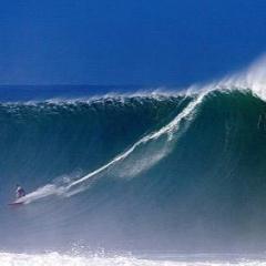 ソウルサーファー