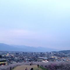 長野県民おいでやっ(´｡･v･｡｀)