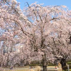中学一年生大集合！