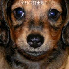 マーサー