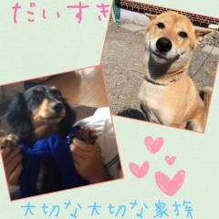 さち(▽◕ ᴥ ◕▽)