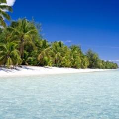 小さな島の英さん家🌴🌴🏡🌴🌴