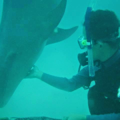 takeshi wadaのトーク