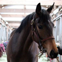 まっちのトーク