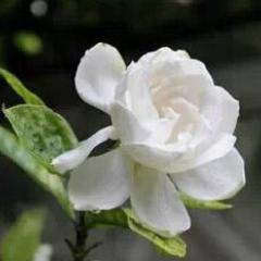 アラフォーまでの彼女メールヨロシク(=^ェ^=)✌️