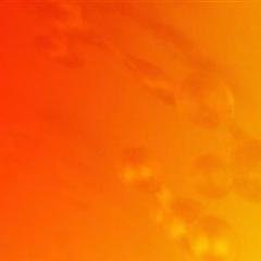 えぶりのトーク