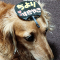 ちょろ。のトーク