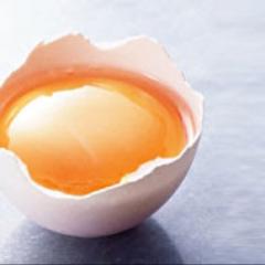 黄身ちゃん@食べ隊総監督@れもんマネのトーク