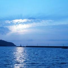 しゅうのトーク