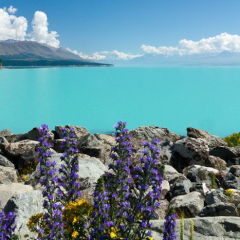 暇人絡も～o(^▽^)o