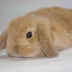 ✨ノリ悪い族✨男女メンバー募集中！！