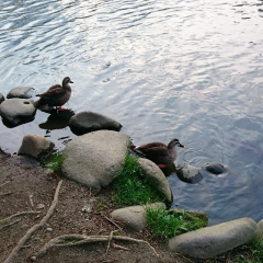 みんなと友達を作りたい