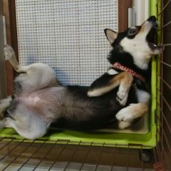 こぅん