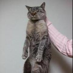 架空の作り話。