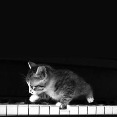 ただただひまなだけ