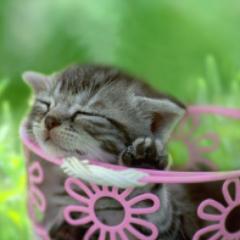 医療系2人います♡