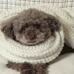 そうしお兄ちゃん