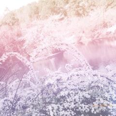 Sofie⍟のトーク