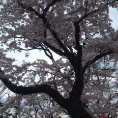 北海道トォォォク！