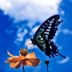 楽しまなきゃぃけない部屋!!って強制か∵ゞ(≧ε≦๑)ぶっ爆笑