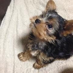 ブスと絡んでくれる人募集中