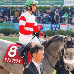 競馬予想しちゃいましょう‼︎‼︎