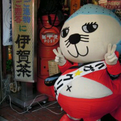 P-DOG