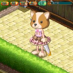 W７のかたいます？？