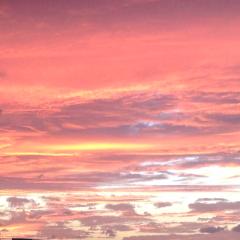 たもっちの遊び場(≧▽≦)