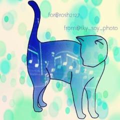 Rosh(ロッシュ)のトーク