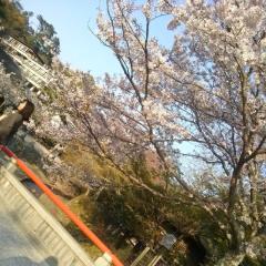 ゆきち、さゆきち、かけきち、たけきちグループ