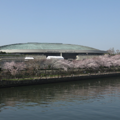 かないっち(≧∇≦)