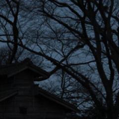 ホラー愛好家👻p(^_^)q