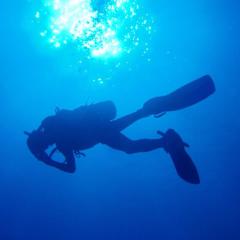 横谷シーラカンス