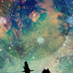 きまコンのトーク