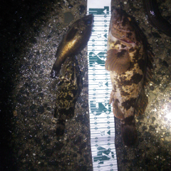 まったりトーク