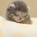 いくつに見えるー？