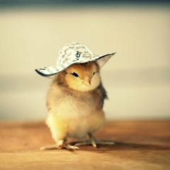 なかじのぽいぽい麻雀トーク