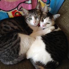 MASAMI SUGITAのトーク