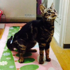 だいちゃんのトーク