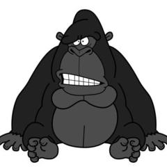 ラップやってる人かもん！