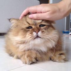 コメント貰ったよ❗️