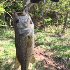 バス釣りやってる人話そー！