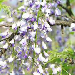 気ままなトーク