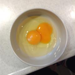 トド（IQ1004単細胞生物のトーク